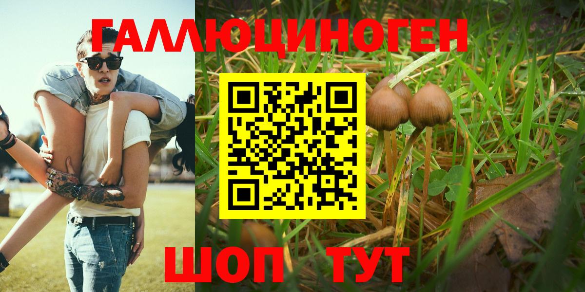 Галлюциногенные грибы Cubensis  Надым  Псилоцибиновые грибы Magic Shrooms 